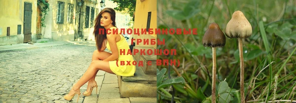 а пвп мука Армянск